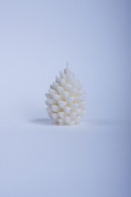 Pine cone (small size)7
